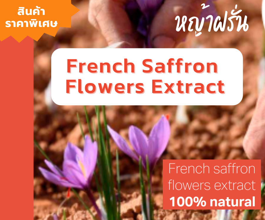 สารสกัดหญ้าฝรั่น (Saffron) ช่วยชะลอความแก่ ป้องกันและฟื้นฟูบำรุงผิวจากการถูกทำลายด้วยรังสีUV